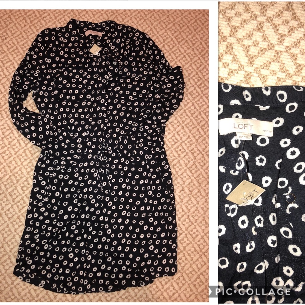 LOFT Dress